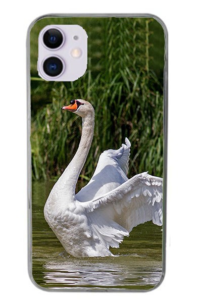 Cover in Gomma iPhone 11